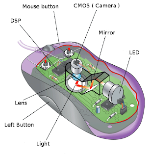 Maus